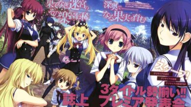 the-fruit-of-grisaia