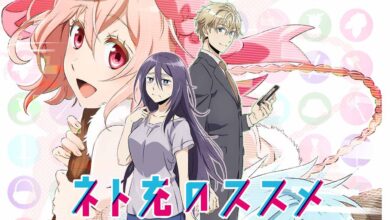 mmo-junkie-1080p-dual-audio-hevc