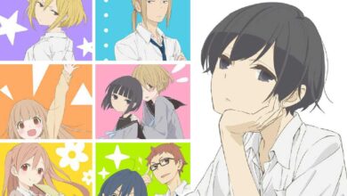 tanaka-kun-1080p-dual-audio