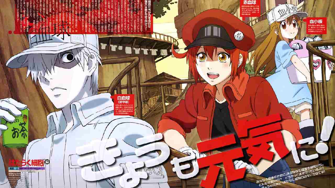 Hataraku Saibou Season 1+2+Black +OVA (DVD) (2018-2021) Anime