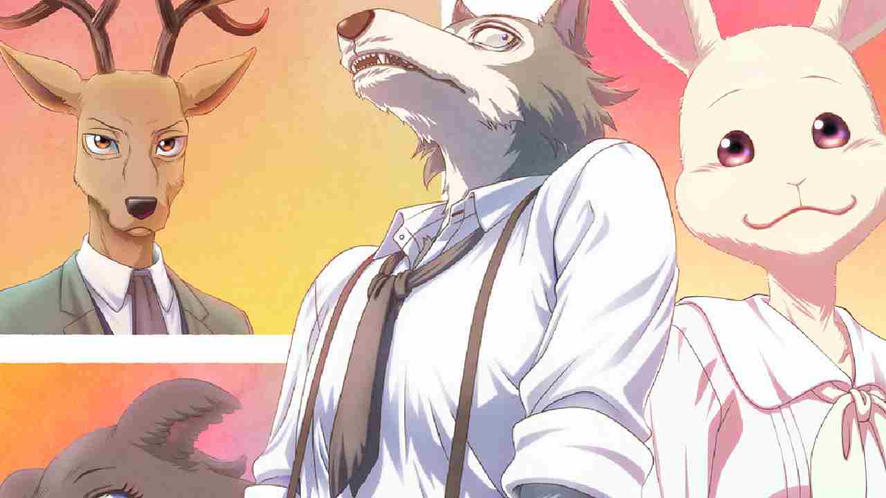 Anime Beastars, Legosi (Beastars), Haru (Beastars), 1080x2280 Phone HD  Wallpaper