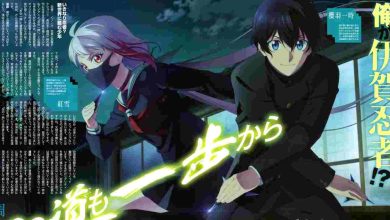 Hanyou no Yashahime (Princess Half-Demon) (Season 1) Dual Audio