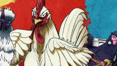 niwatori-fighter-1080p-dual-audio-hevc-episode-01