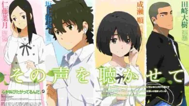 The Anthem of the Heart (Kokoro ga Sakebitagatterunda) 1080p Eng Sub HEVC